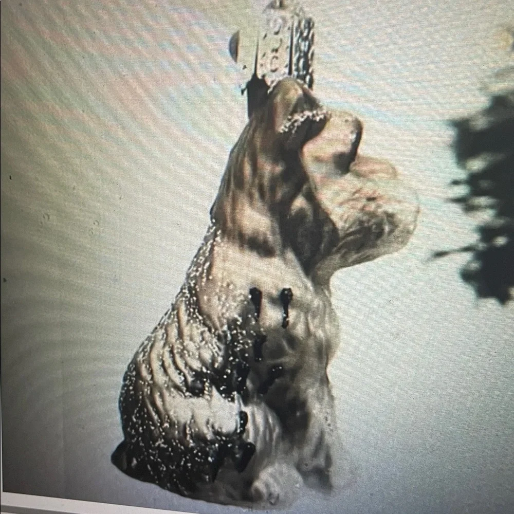 Old World Christmas Ornaments Grey Schnauzer Glass Blown Ornaments